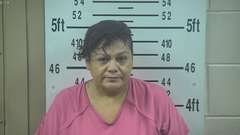 Mugshot of VILLANUEVA, MARIA