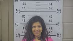 Mugshot of SANCHEZ, ELISA