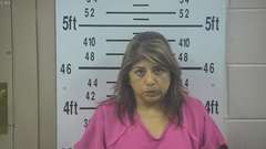 Mugshot of ELIZONDO, GLORIA