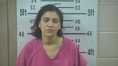 Mugshot of TREVINO, VERONICA