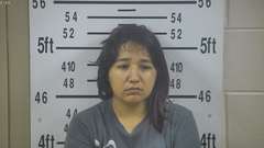 Mugshot of JIMENEZ, ARACELI