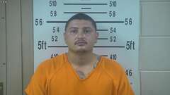 Mugshot of GONZALES, DOMINGO