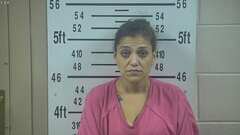 Mugshot of TREVINO, VERONICA
