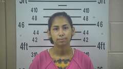 Mugshot of PEREZ, MICHAELA