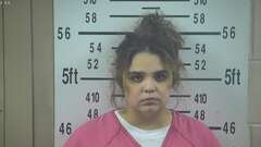 Mugshot of VASQUEZ, LETICIA