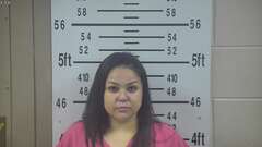 Mugshot of ALANIZ, MAYRA