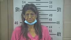 Mugshot of HERNANDEZ, ELMA