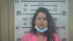Mugshot of GONZALEZ, VIRGINIA