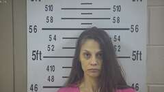 Mugshot of PRINGLE, AMANDA