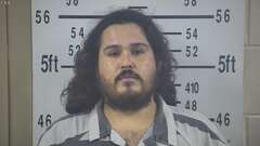 Mugshot of FLORES, WALDO