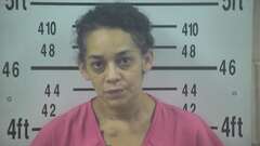 Mugshot of DAVILA, DENISE