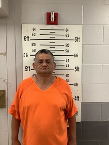 Mugshot of ALANIZ, BENITO