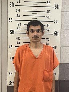 Mugshot of ARISMENDEZ, ISAAC