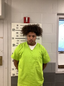 Mugshot of ROCHA, MATEO