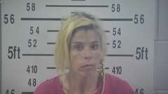 Mugshot of DEMENEZES, NATASHA